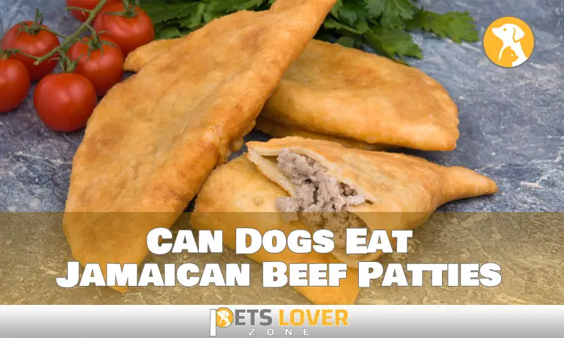 Can Dogs Eat Jamaican Beef Patties