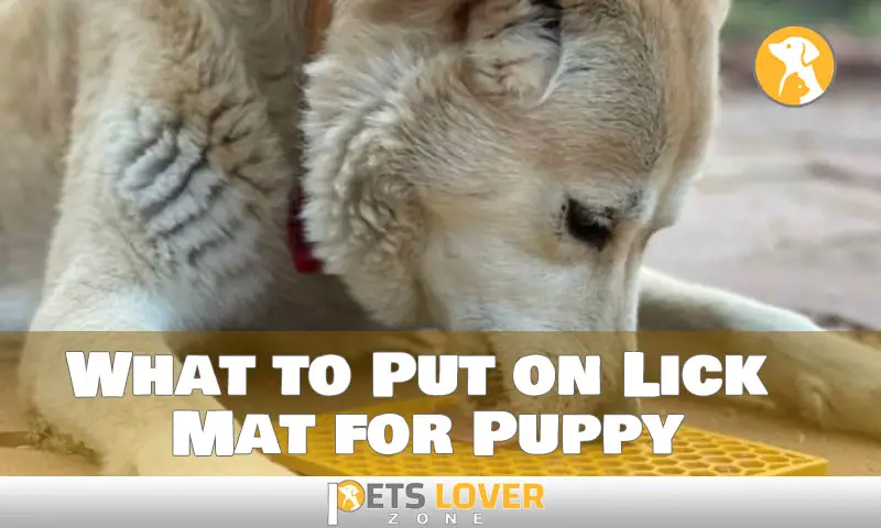 What to Put on Lick Mat for Puppy