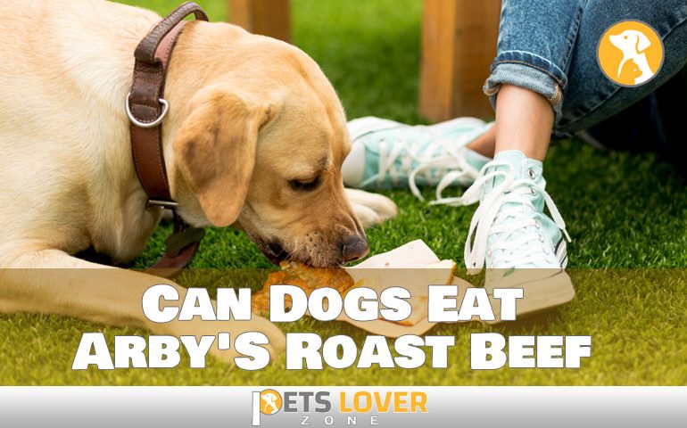 can dogs eat arbys roast beef