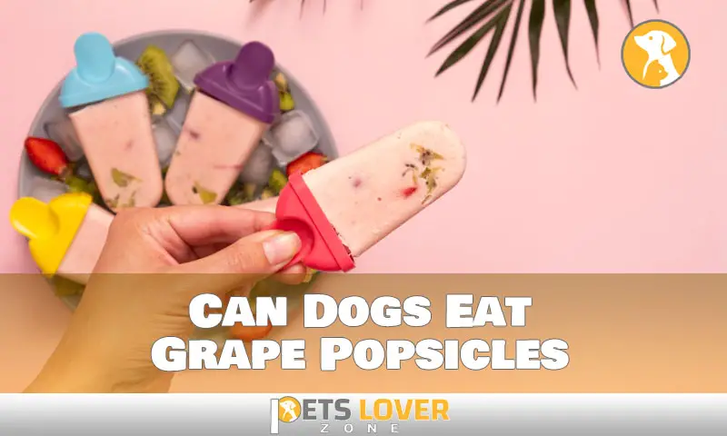 Can Dogs Eat Grape Popsicles
