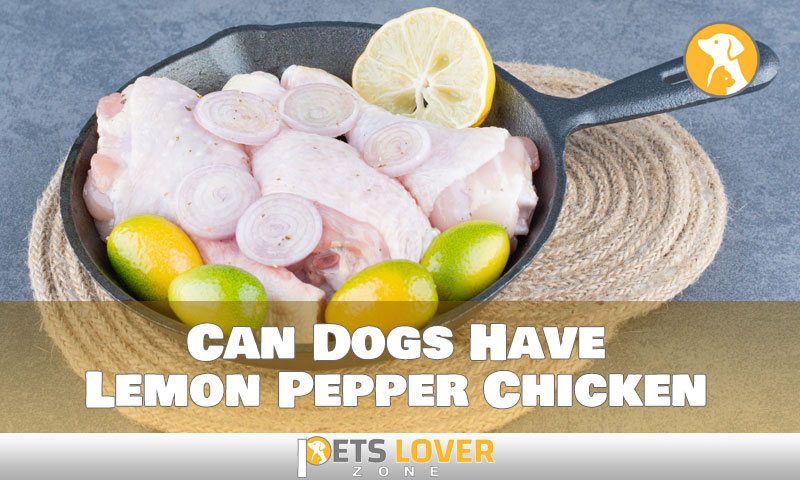 The Ultimate Guide to Feeding Your Dog Lemon Pepper Chicken