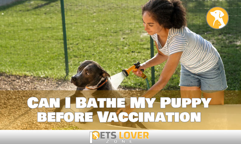 Can I Bathe My Puppy before Vaccination