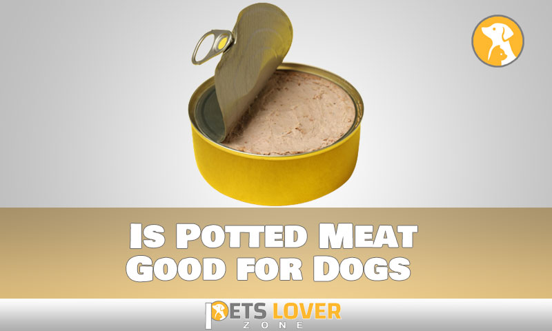 Is Potted Meat Good for Dogs