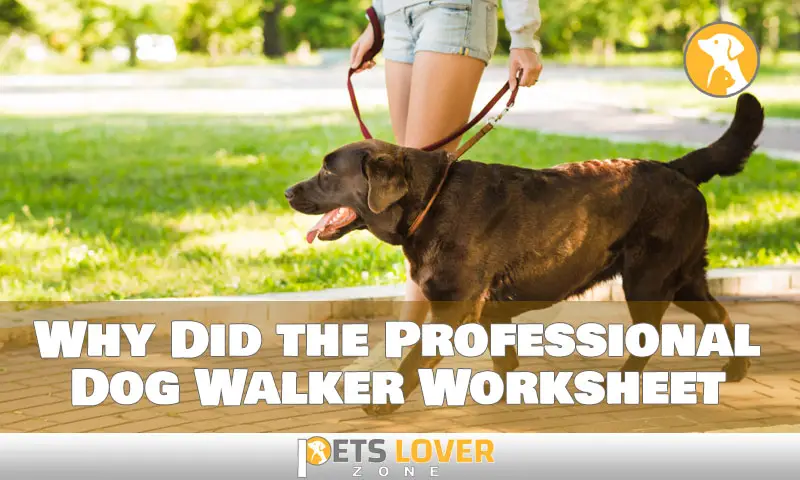 Why Did the Professional Dog Walker Worksheet