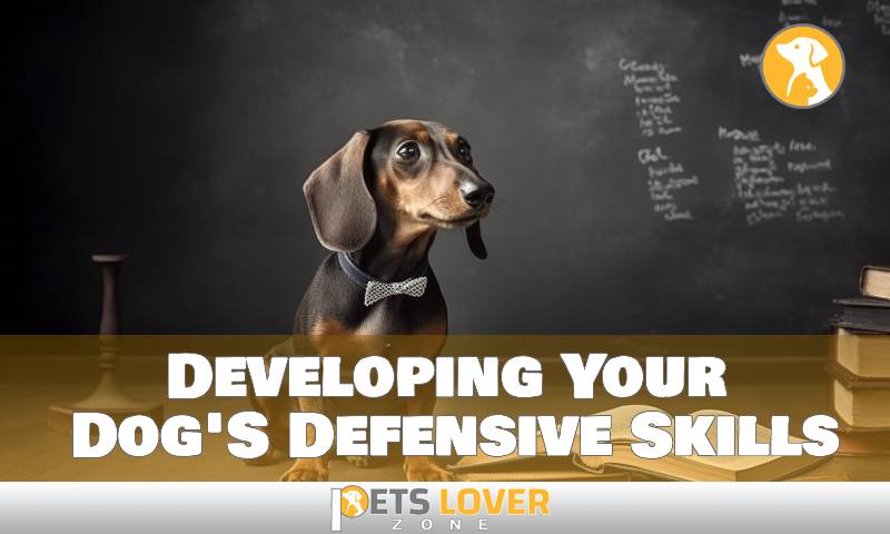 Developing Your Dog'S Defensive Skills