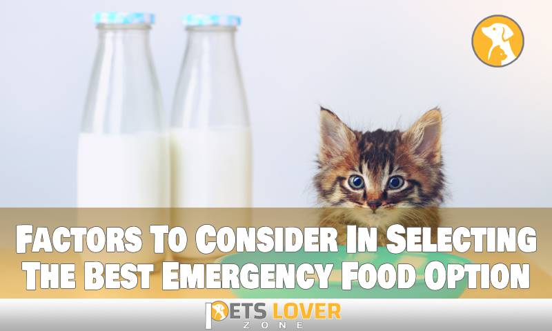 Factors To Consider In Selecting The Best Emergency Food Option