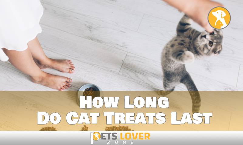 How Long Do Cat Treats Last