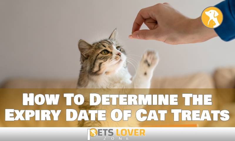 How To Determine The Expiry Date Of Cat Treats