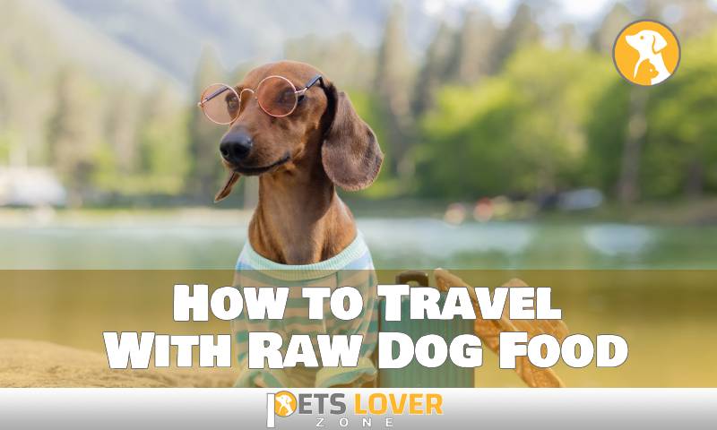 How to Travel With Raw Dog Food