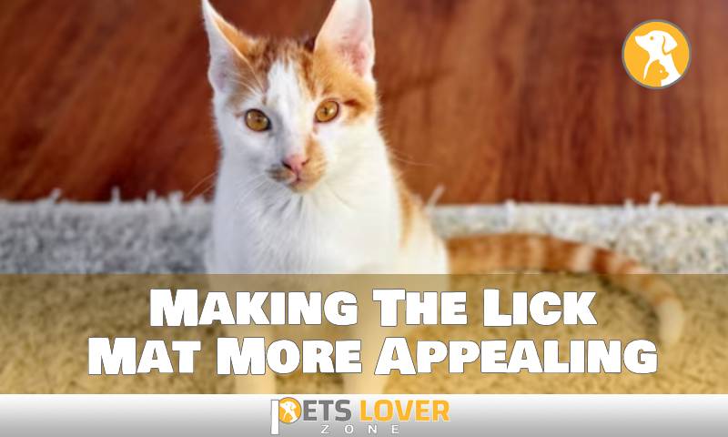Making The Lick Mat More Appealing