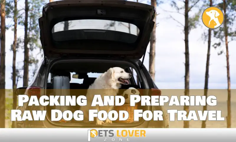 Packing And Preparing Raw Dog Food For Travel