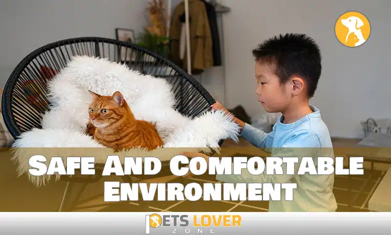 Create A Safe And Comfortable Environment
