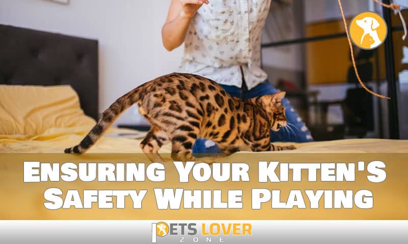 Ensuring Your Kitten'S Safety While Playing