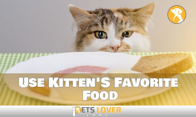 Use Kitten'S Favorite Food
