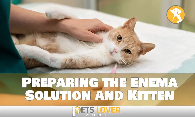 Preparing the Enema Solution and Kitten