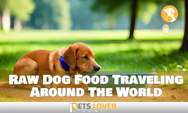 Raw Dog Food Traveling Around The World