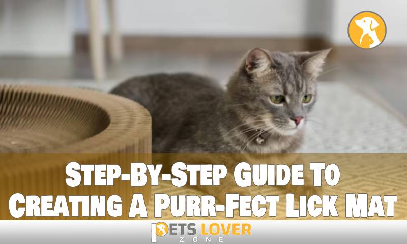 Step-By-Step Guide To Creating A Purr-Fect Lick Mat