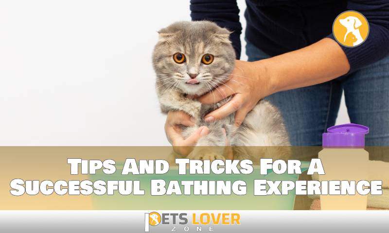 Tips And Tricks For A Successful Bathing Experience