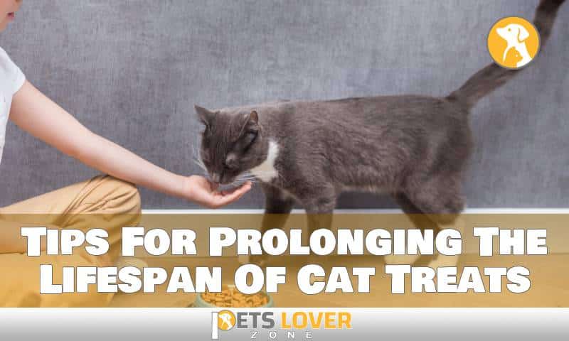 Tips For Prolonging The Lifespan Of Cat Treats