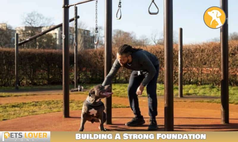 Building A Strong Foundation