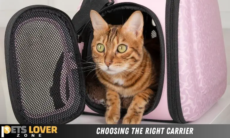 Choosing The Right Carrier