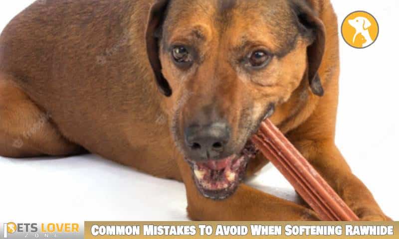 Common Mistakes To Avoid When Softening Rawhide