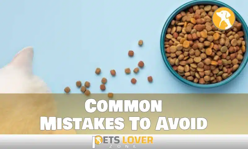 Common Mistakes To Avoid