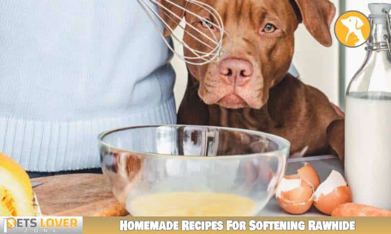 Homemade Recipes For Softening Rawhide