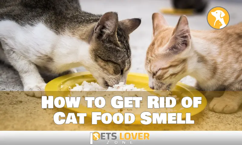 How to Get Rid of Cat Food Smell