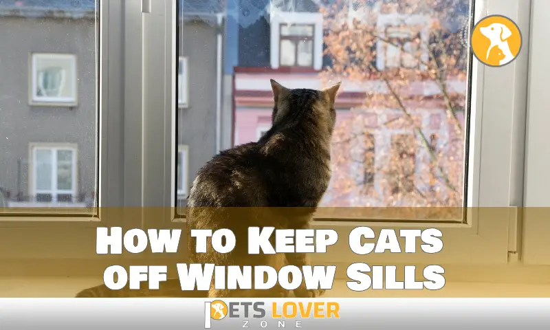 How to Keep Cats off Window Sills