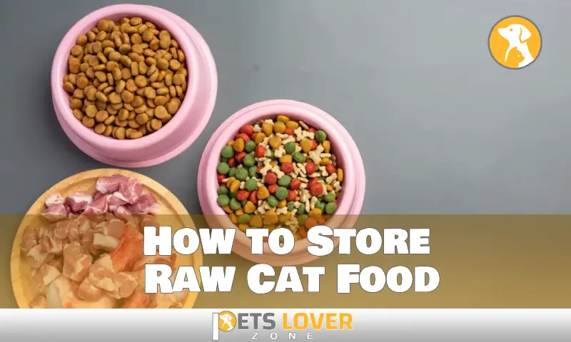How to Store Raw Cat Food