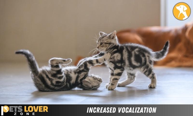 Increased Vocalization