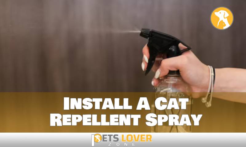 Install A Cat Repellent Spray