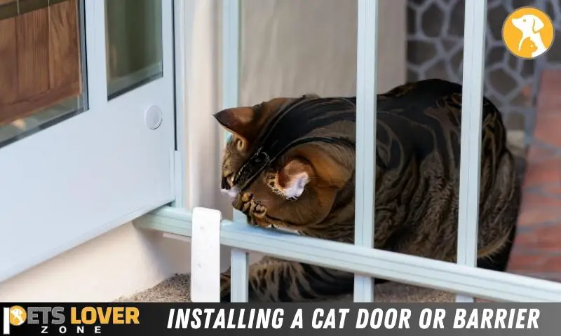 Installing A Cat Door Or Barrier