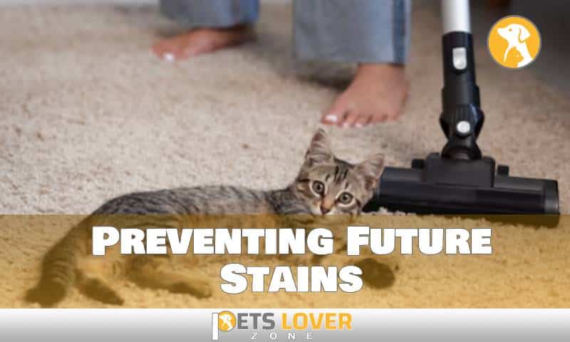 Preventing Future Stains