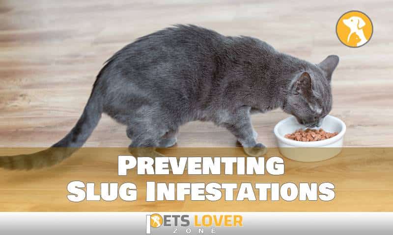Preventing Slug Infestations