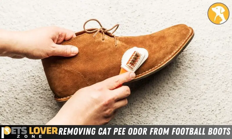 Removing Cat Pee Odor From Football Boots