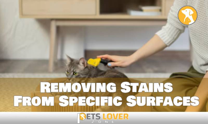 Removing Stains From Specific Surfaces