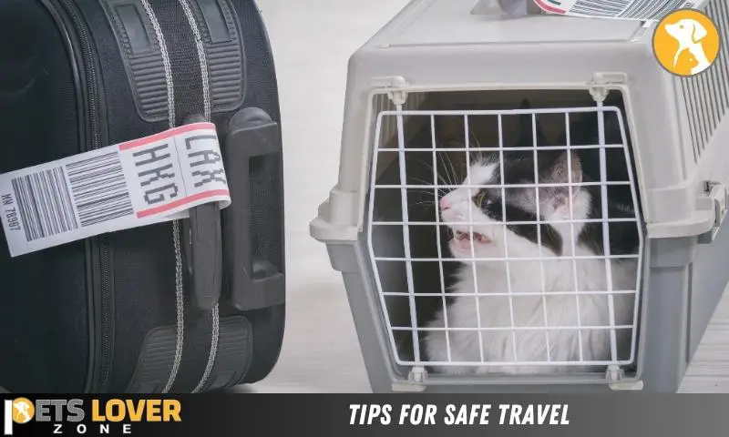 Tips For Safe Travel
