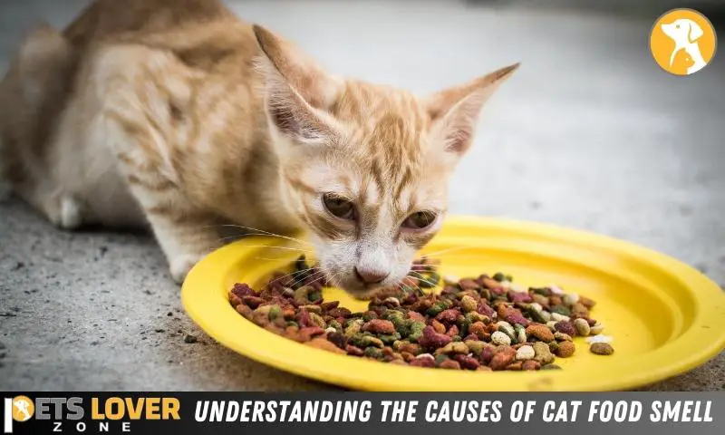 Understanding The Causes Of Cat Food Smell