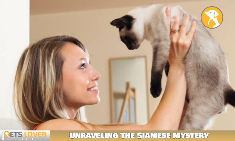 Unraveling The Siamese Mystery