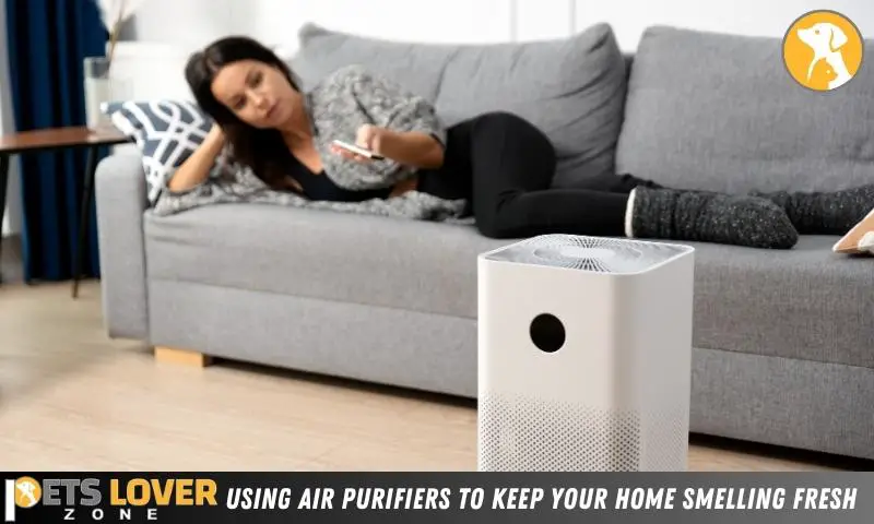 Using Air Purifiers To Keep Your Home Smelling Fresh