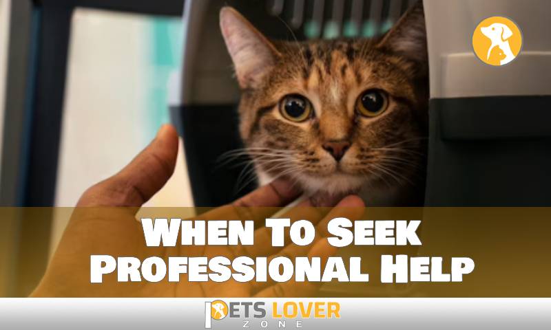 When To Seek Professional Help