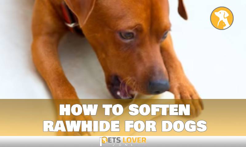 how to soften rawhide for dogs