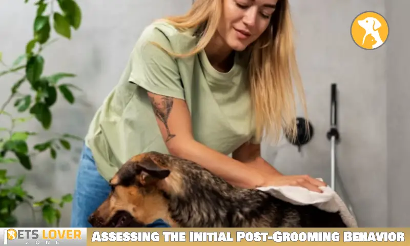 Assessing The Initial Post-Grooming Behavior