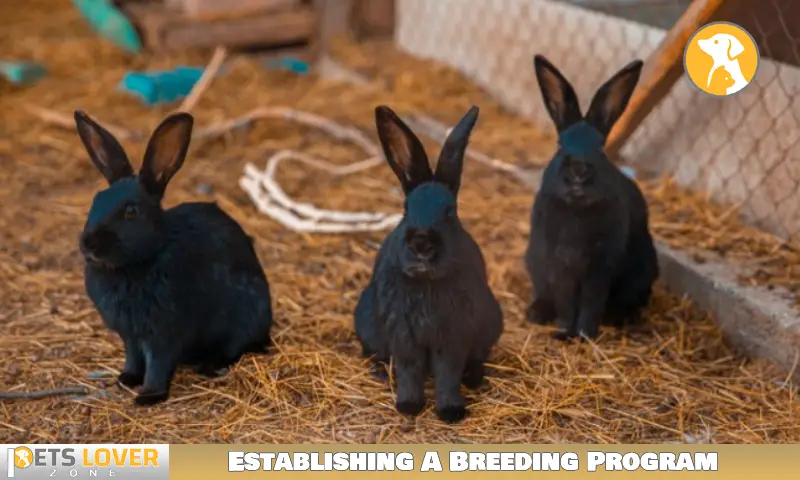 Establishing A Breeding Program