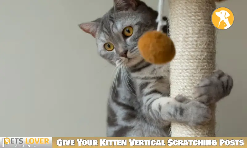 Give Your Kitten Vertical Scratching Posts