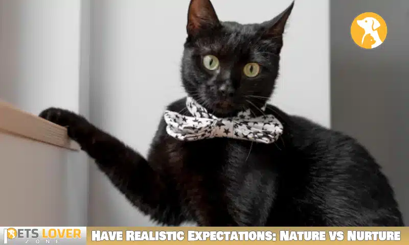 Have Realistic Expectations: Nature vs Nurture
