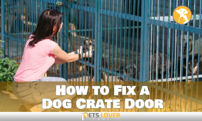 How to Fix a Dog Crate Door