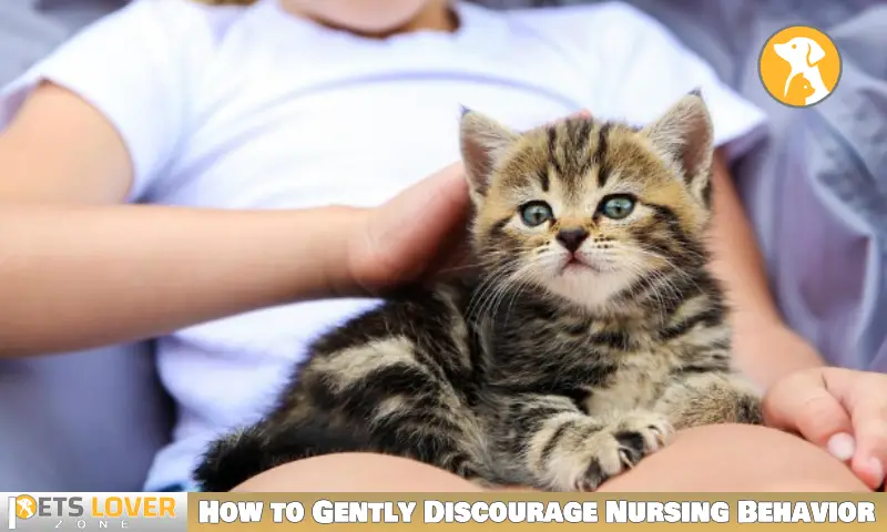 How to Gently Discourage Nursing Behavior